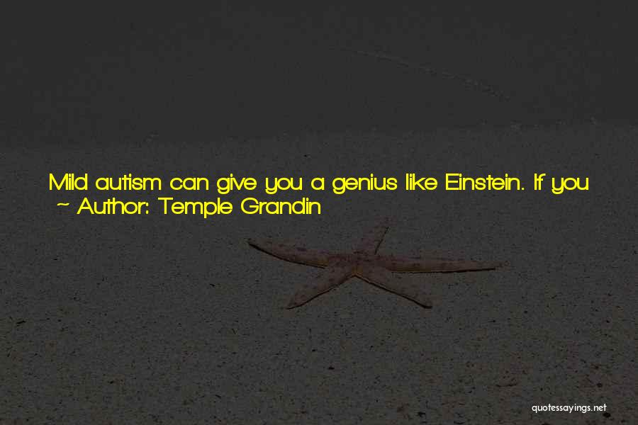 Autism Art Quotes By Temple Grandin