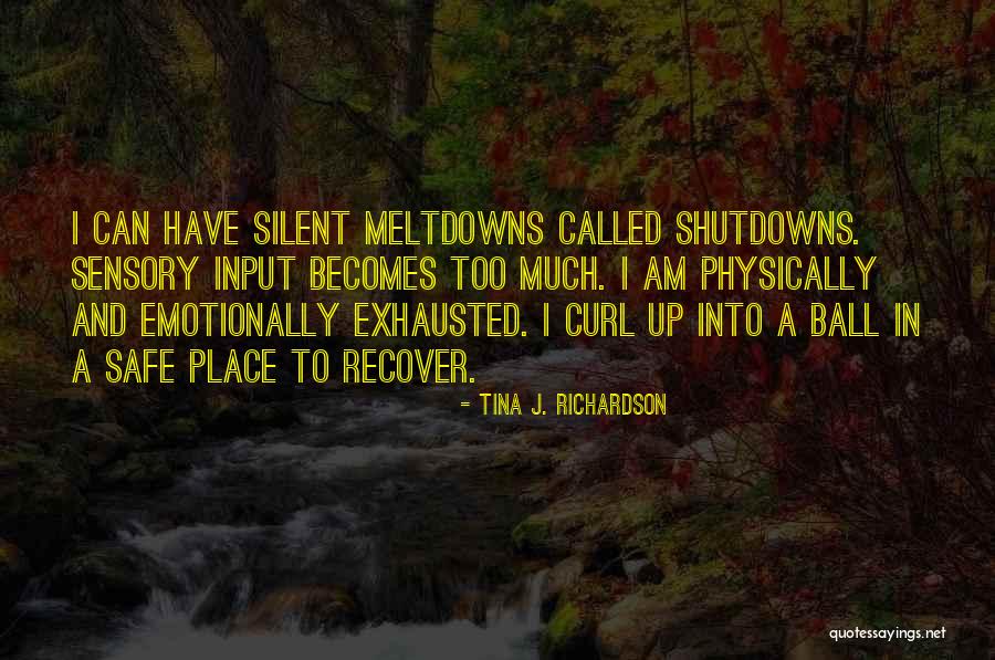 Autism Meltdowns Quotes By Tina J. Richardson Autism Meltdowns Quotes By Tina J. Richardson