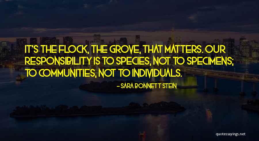 Auto Promotional Products Quotes By Sara Bonnett Stein Auto Promotional Products Quotes By Sara Bonnett Stein