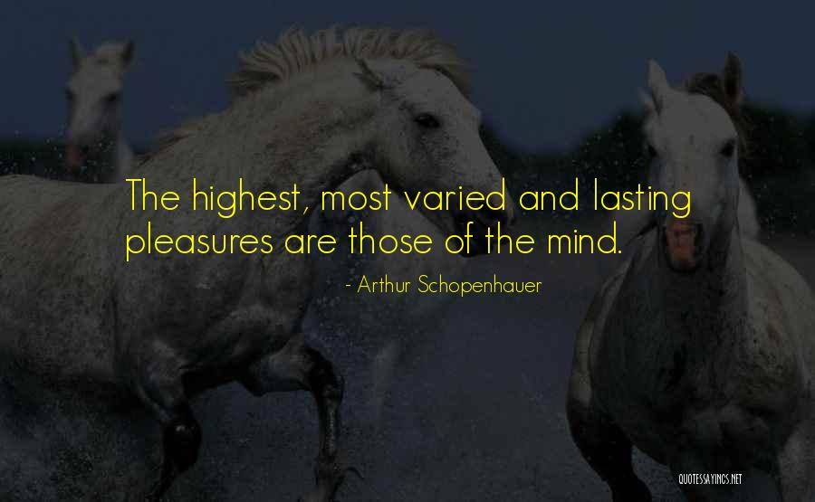 Auto Window Tint Quotes By Arthur Schopenhauer Auto Window Tint Quotes By Arthur Schopenhauer