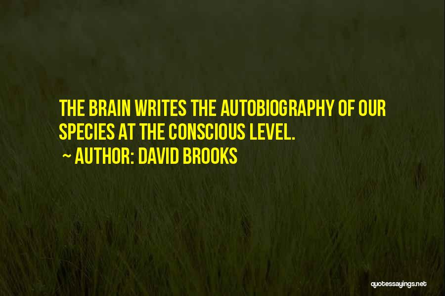 Autobiography Writing Quotes By David Brooks