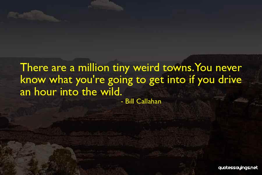 Autocomplacencia Femenina Quotes By Bill Callahan Autocomplacencia Femenina Quotes By Bill Callahan