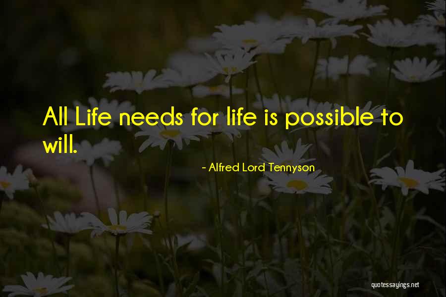 Autolesionismo Sangue Quotes By Alfred Lord Tennyson Autolesionismo Sangue Quotes By Alfred Lord Tennyson