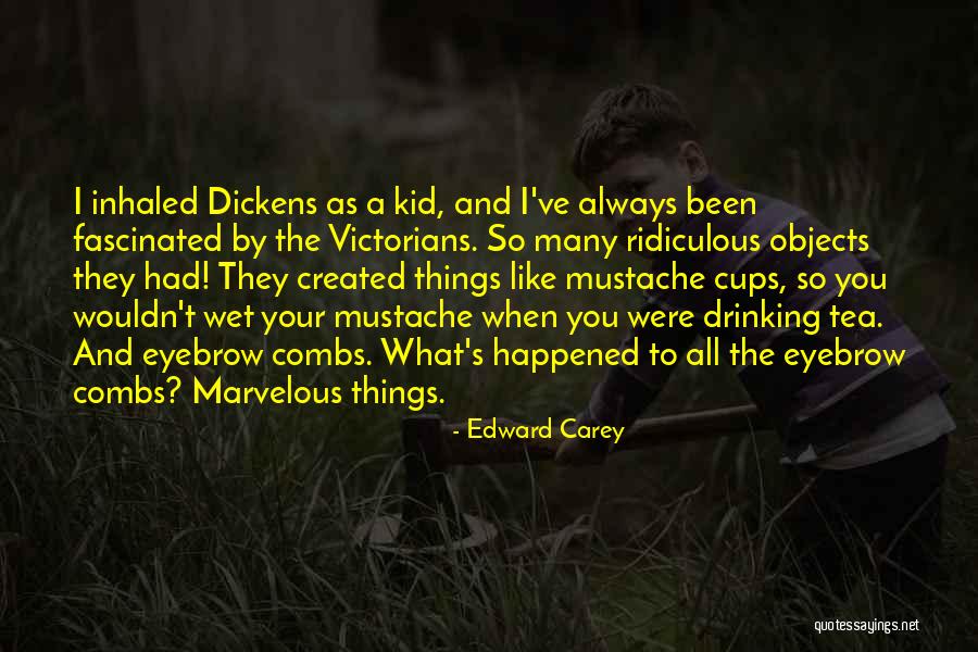 Automatas Programables Quotes By Edward Carey Automatas Programables Quotes By Edward Carey