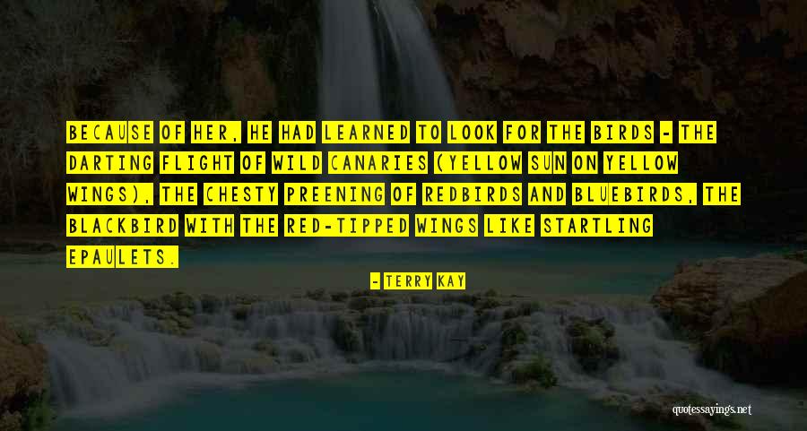 Automovil Definicion Quotes By Terry Kay Automovil Definicion Quotes By Terry Kay