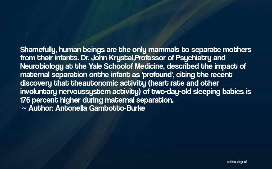 Autonomic Nervous System Quotes By Antonella Gambotto-Burke