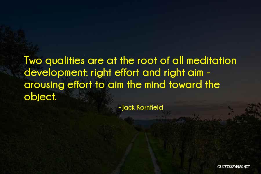 Autonomist Movement Quotes By Jack Kornfield Autonomist Movement Quotes By Jack Kornfield