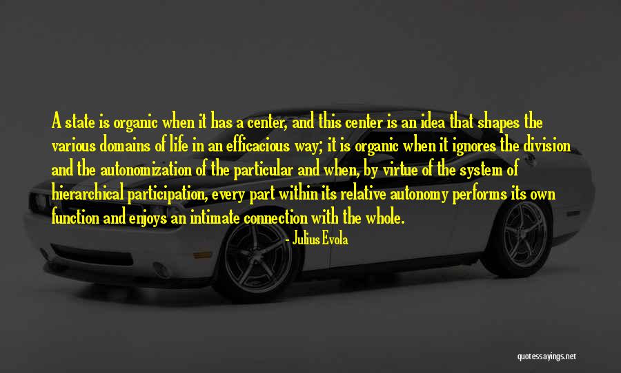 Autonomy And Connection Quotes By Julius Evola Autonomy And Connection Quotes By Julius Evola
