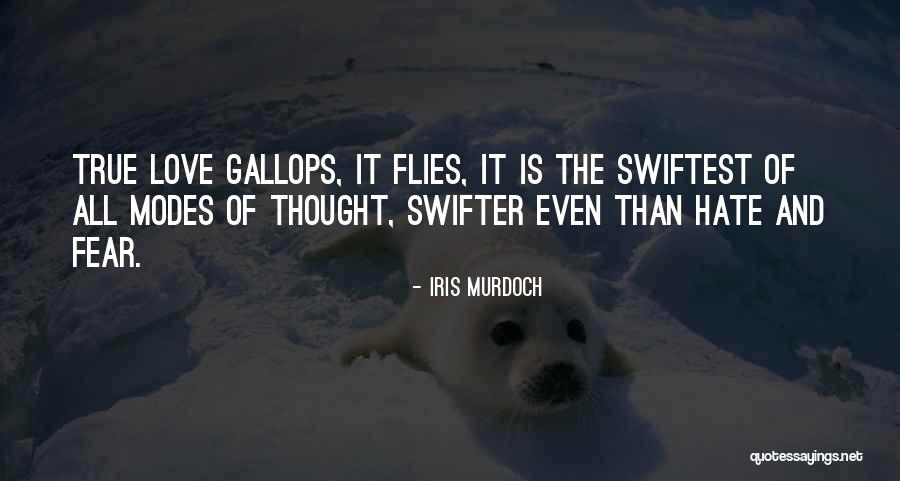 Autonomy And Euthanasia Quotes By Iris Murdoch Autonomy And Euthanasia Quotes By Iris Murdoch