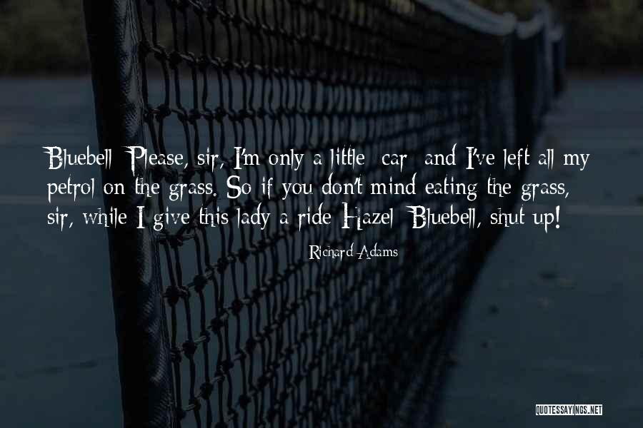 Autozone Near Quotes By Richard Adams Autozone Near Quotes By Richard Adams