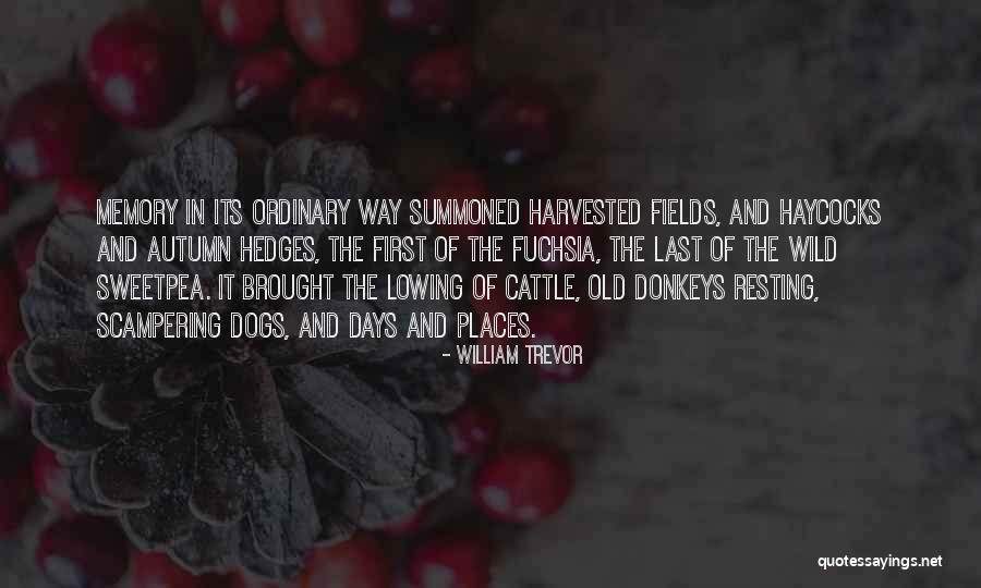 Autumn And Dogs Quotes By William Trevor Autumn And Dogs Quotes By William Trevor