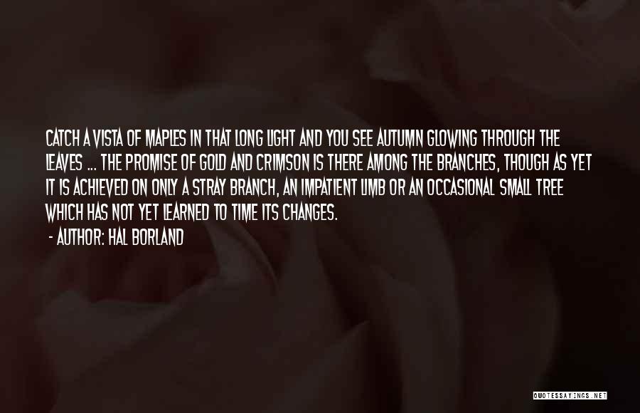 Autumn And Quotes By Hal Borland