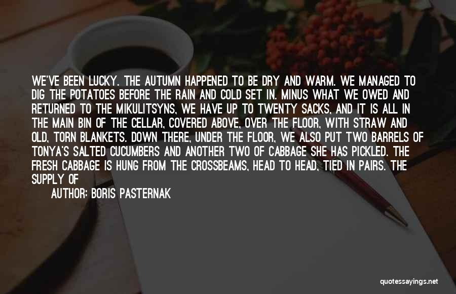Autumn And Rain Quotes By Boris Pasternak