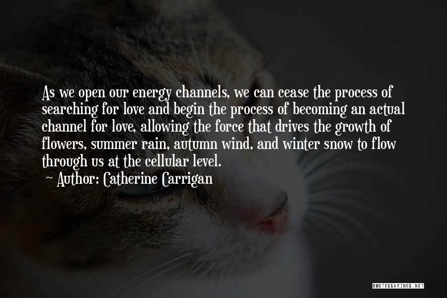 Autumn And Rain Quotes By Catherine Carrigan