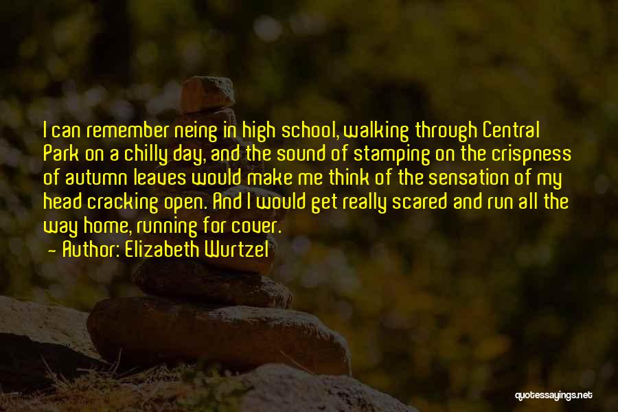 Autumn And School Quotes By Elizabeth Wurtzel