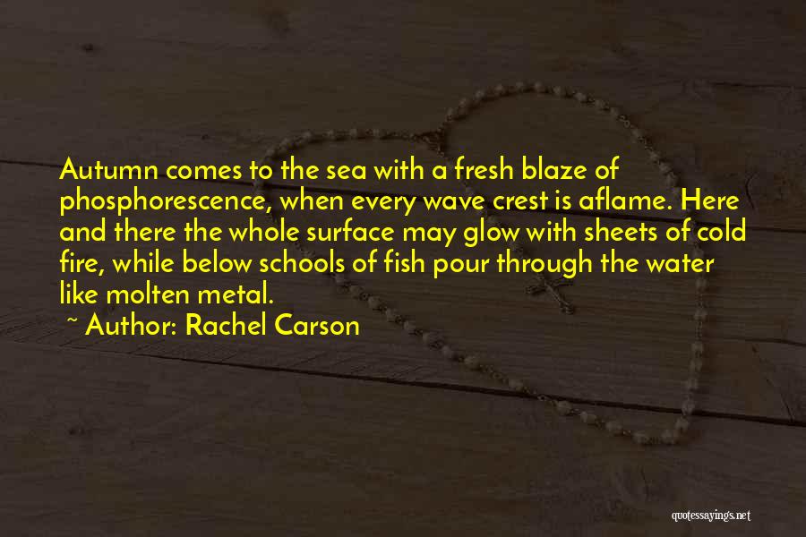 Autumn And School Quotes By Rachel Carson
