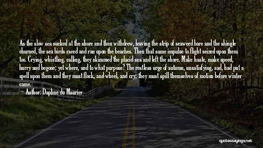 Autumn And Winter Quotes By Daphne Du Maurier