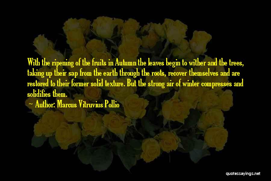 Autumn And Winter Quotes By Marcus Vitruvius Pollio