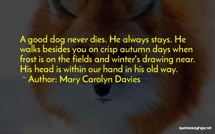 Autumn And Winter Quotes By Mary Carolyn Davies