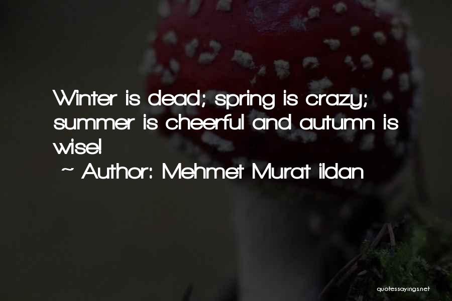 Autumn And Winter Quotes By Mehmet Murat Ildan