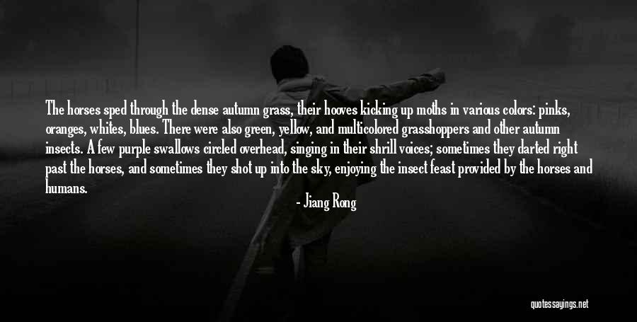 Autumn Colors Quotes By Jiang Rong