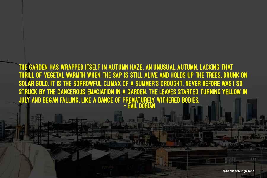 Autumn Flowers Quotes By Emil Dorian Autumn Flowers Quotes By Emil Dorian