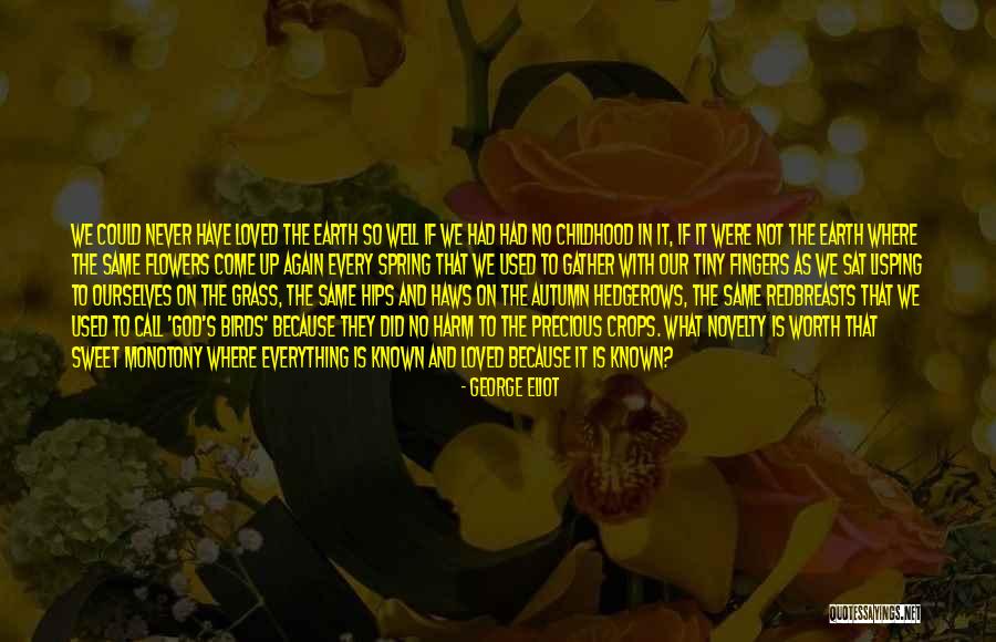 Autumn Flowers Quotes By George Eliot