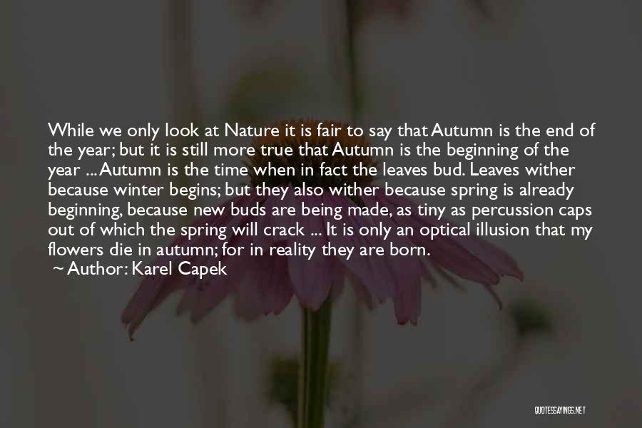 Autumn Flowers Quotes By Karel Capek