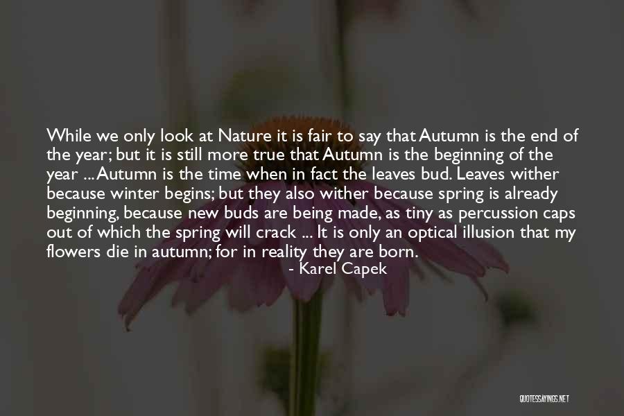 Autumn Flowers Quotes By Karel Capek