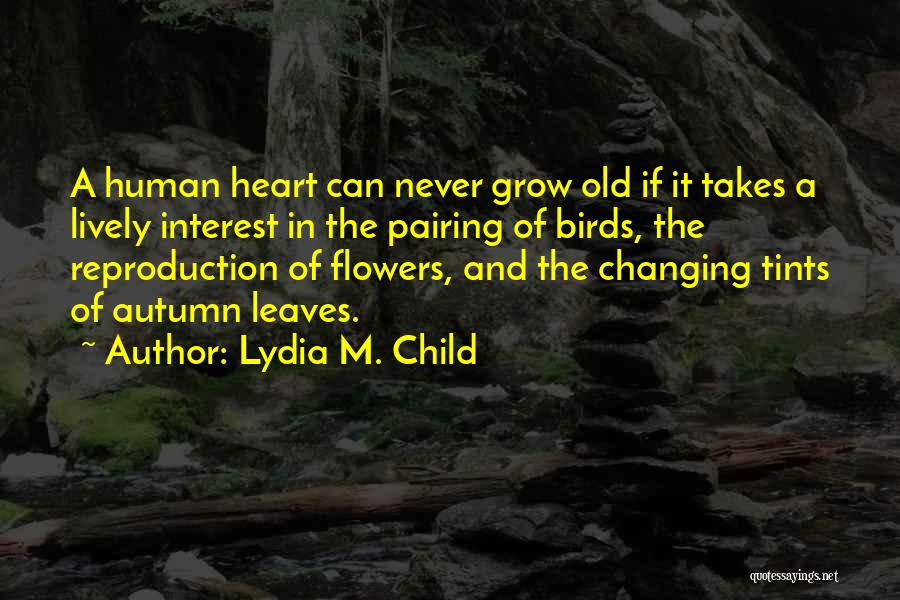 Autumn Flowers Quotes By Lydia M. Child