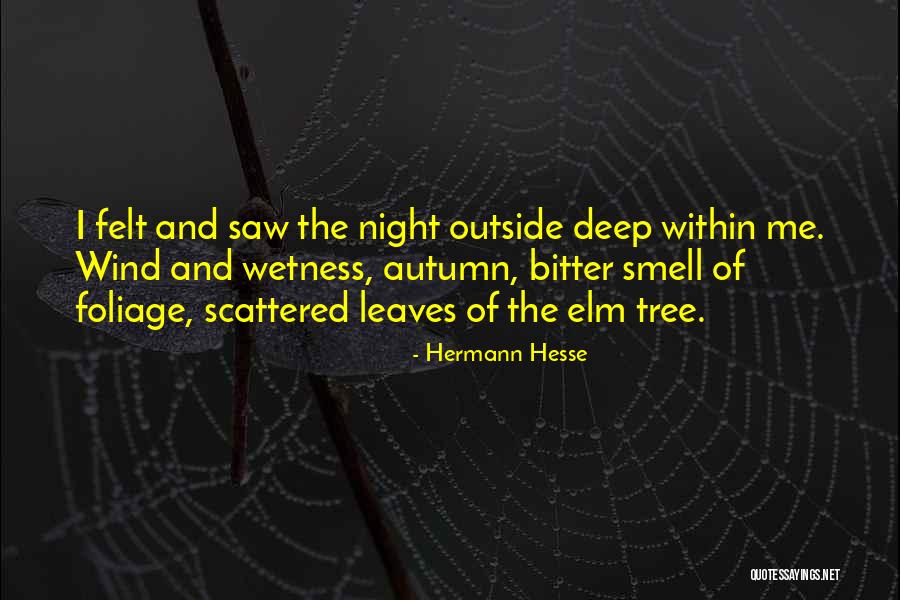 Autumn Foliage Quotes By Hermann Hesse