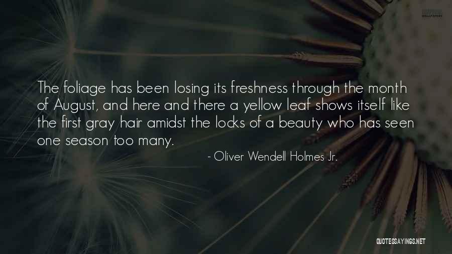 Autumn Foliage Quotes By Oliver Wendell Holmes Jr.