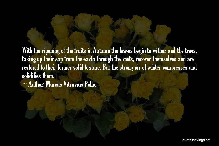 Autumn Fruits Quotes By Marcus Vitruvius Pollio