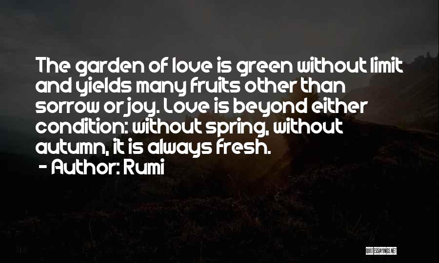 Autumn Fruits Quotes By Rumi