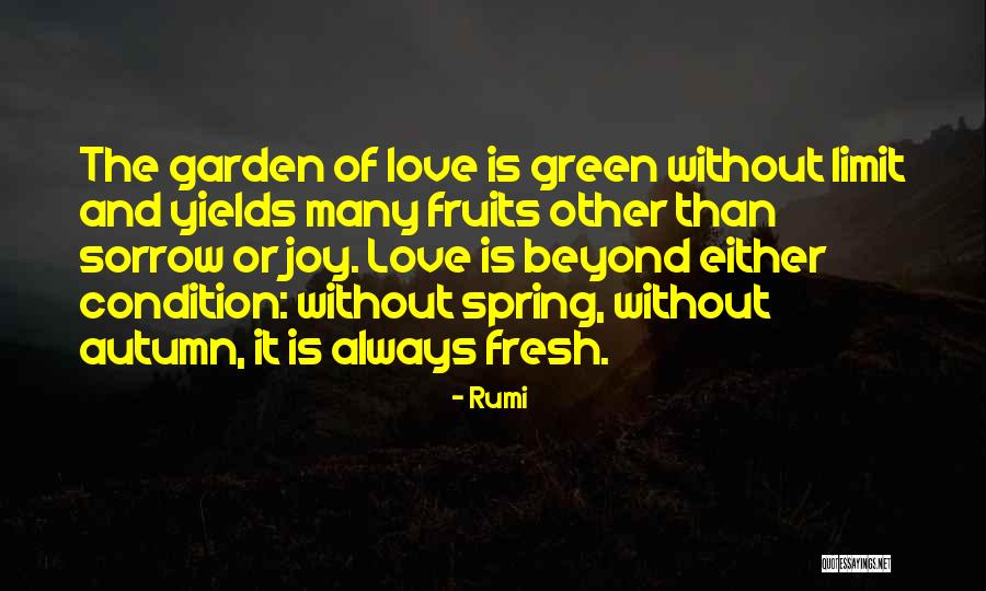 Autumn Garden Quotes By Rumi