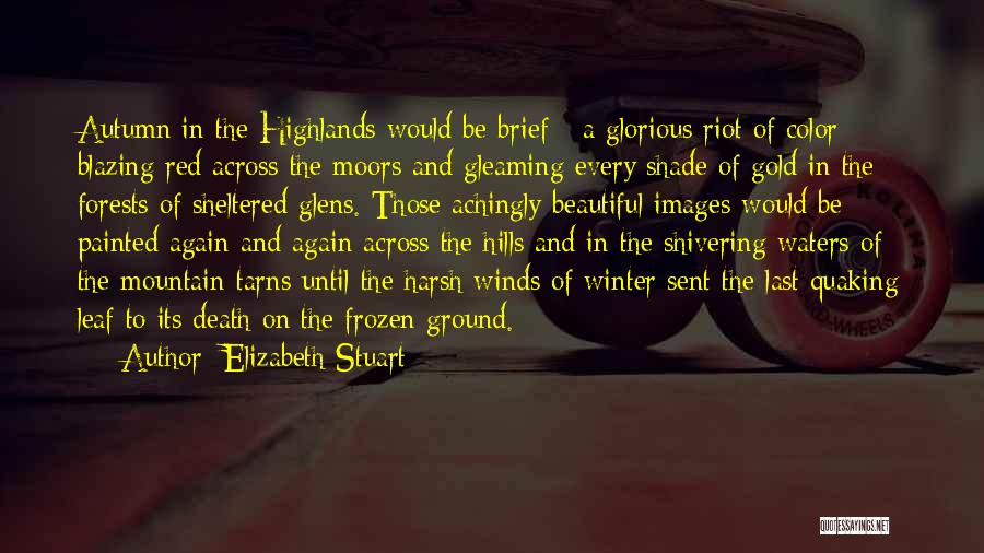 Autumn Leaf Quotes By Elizabeth Stuart