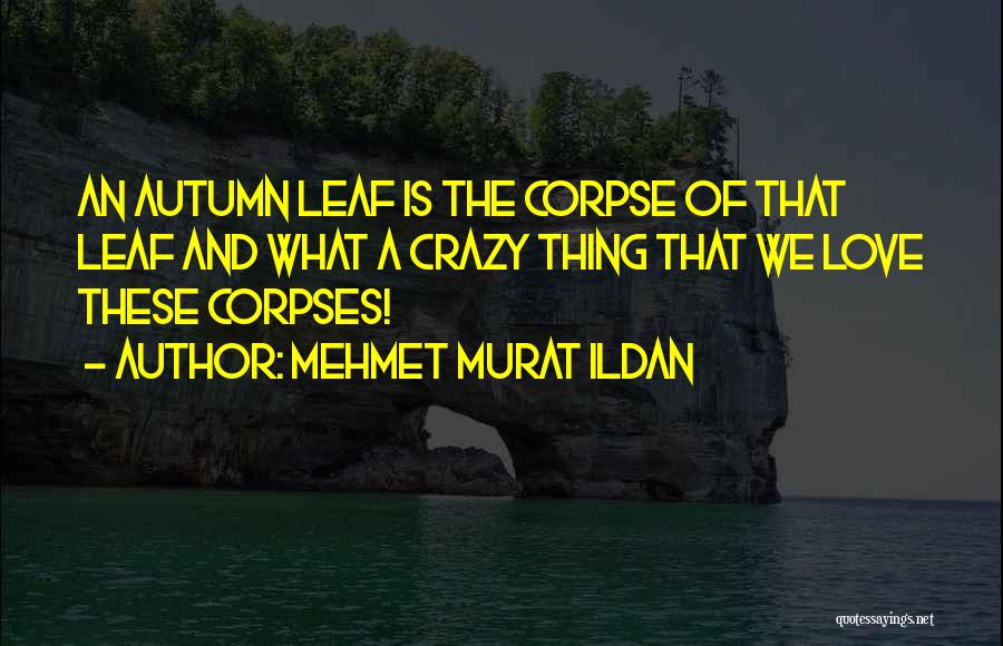 Autumn Leaf Quotes By Mehmet Murat Ildan