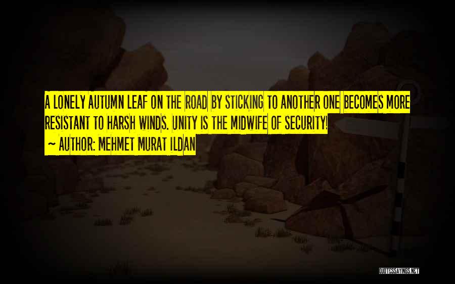 Autumn Leaf Quotes By Mehmet Murat Ildan