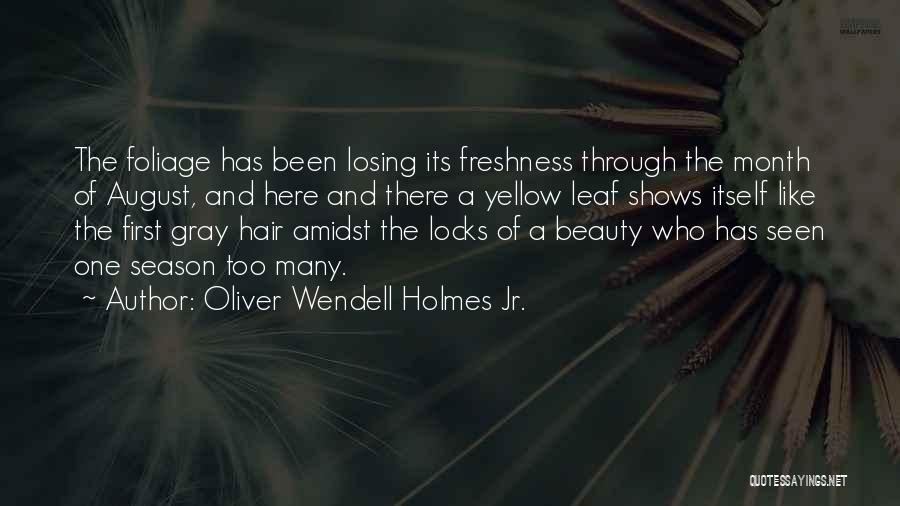 Autumn Leaf Quotes By Oliver Wendell Holmes Jr.