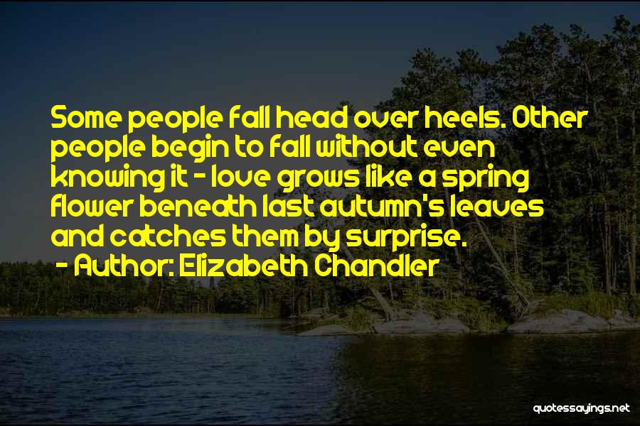 Autumn Leaves Fall Quotes By Elizabeth Chandler