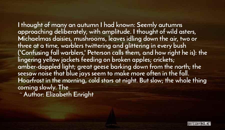 Autumn Leaves Fall Quotes By Elizabeth Enright