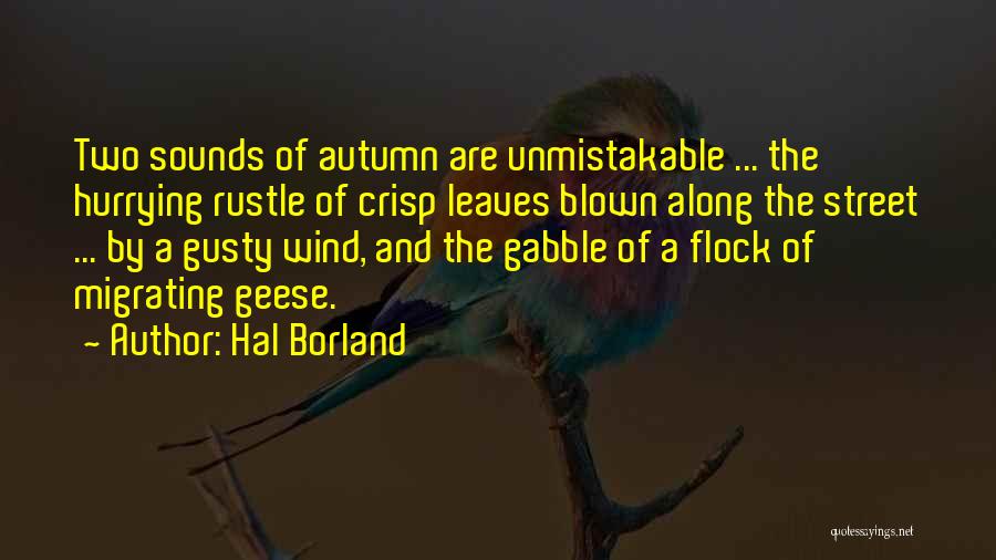 Autumn Leaves Fall Quotes By Hal Borland