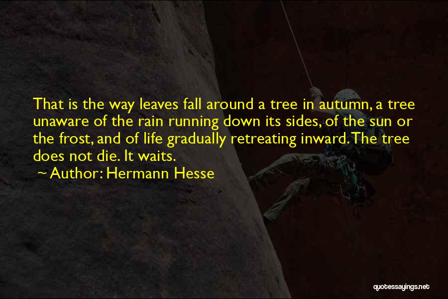 Autumn Leaves Fall Quotes By Hermann Hesse