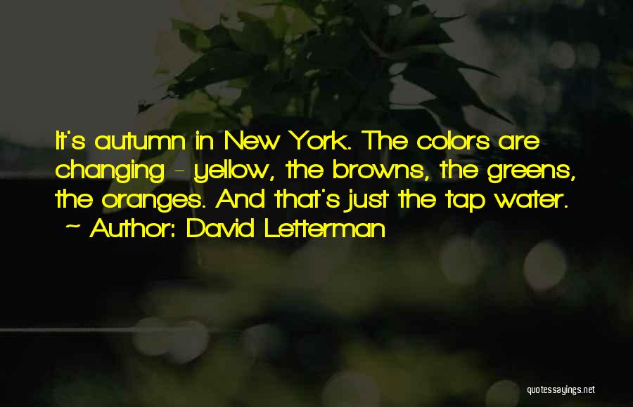 Autumn New York Quotes By David Letterman