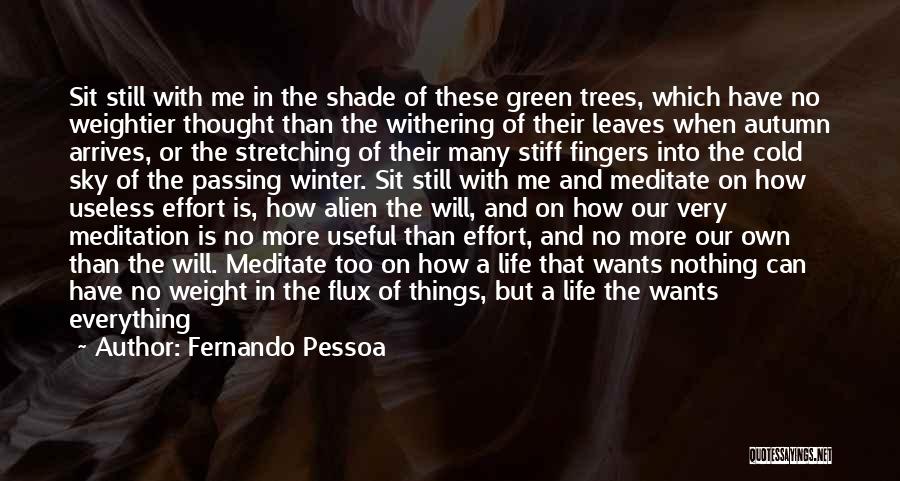 Autumn Trees Quotes By Fernando Pessoa