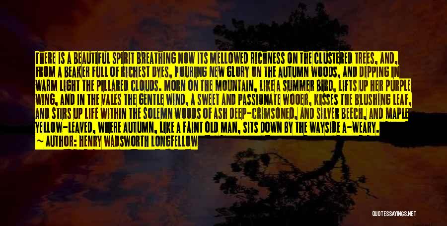 Autumn Trees Quotes By Henry Wadsworth Longfellow