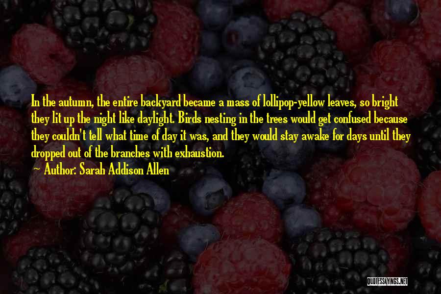 Autumn Trees Quotes By Sarah Addison Allen