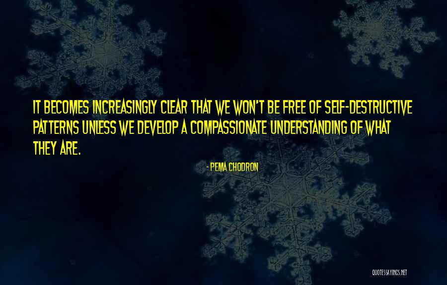 Autunno Shearling Quotes By Pema Chodron