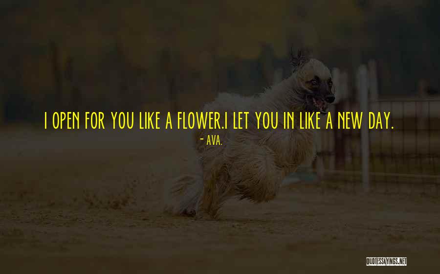 AVA. Quotes 1161902 AVA. Quotes 1161902