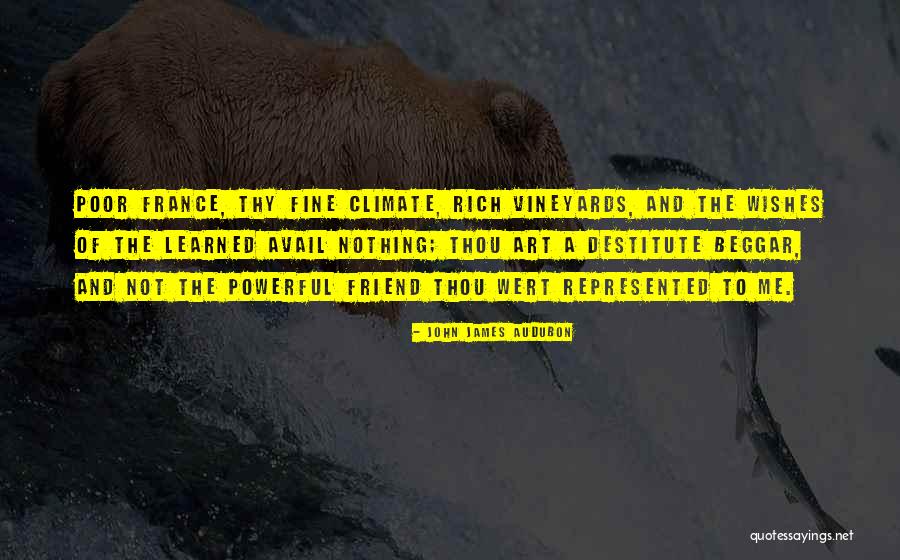 Avail Quotes By John James Audubon Avail Quotes By John James Audubon
